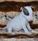 Miniature bull terrier con papeles