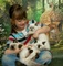 Regalo impresionantes ragdolls gatos gratis//