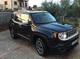 Jeep renegade ano 2014