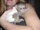 Monos capuchinos de rostro blanco macho y hembra
