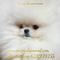 Puppydiamond criadero exclusivo chihuahuas bichon maltes lulu - Foto 4