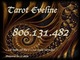 806.131.482 tarot oferta tarot 806, videncia económica. eveline