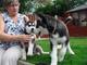 Cachorros de husky siberiano ojos azules listo