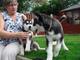 Disponibles cachorros de siberian husky con ojos azules