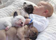 Excelentes cachorros de bulldog frances de diferentes colores - Foto 1