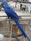 Hyacinth Macaw - DNA tested Male and Female - 11 months old - Foto 2