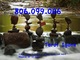 806 oferta tarot Igone vidente 806.099.006 tarot 24h 0,42€ r.f. a - Foto 1