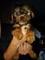 Vendo cachorro hembra yorkshire - Foto 1