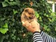 Preciosos cachorros de pomerania muy guapos - Foto 1