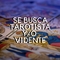 Se busca tarotista y videntes (ingles y español)