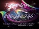 Ian tarot barato, 24 horas taro económico 806-383-796 tarot amor