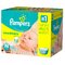 Pañales pampers(recién nacido (hasta 10 lbs)