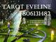 Tarot Eveline 806 oferta tarot barato 0,42€r.f. 806.131.482 - Foto 1