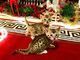 Listo ahora, impresionantes gatitos de Bengala con rosetas - Foto 1