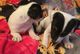 Preciosos cachorros de Jack Russell gratis - Foto 1