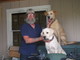 Hermosas cualidades cachorros de Labrador retriever - Foto 2