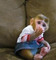 Hermoso mono capuchino para la adopción hermoso mono capuchino pa
