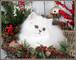 Adorable dulce preciosos gatitos persa