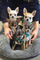 REGALO Cachorros Chihauhua de pelo largo para la venta - Foto 1
