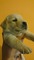 REGALO Cachorros De Labrador Con Pedigree - Foto 1