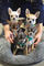 REGALO Hermosos cachorros de Chihuahua precortados - Foto 1