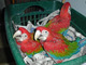 Adn probado loro guacamayo por 180 €