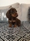 Regalo cachorros de dachshund en miniatura - Foto 1
