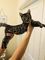 Bien socializados Savannah gatitos disponibles - Foto 1