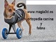 Sillas de ruedas para mascotas - Foto 2