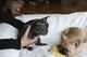 ¡cachorro de bulldog francés de calidad akc para adopción gratuit