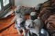 Preciosos cachorros de carlino-pug - Foto 2