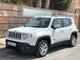 Jeep Renegade 1.6Mjt Limited 4x2 - Foto 1