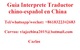 Guia interprete traductor chino en beijing