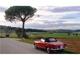 Alfa Romeo Giulia Spider - Foto 3