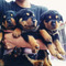 Rottweiler masculino y femenino para adopción - Foto 1