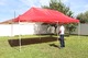 Carpa plegable 6x3 sin laterales