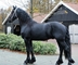 Hermoso y suave montar Friesian Mare - Foto 1