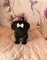 Regalo cachorros yorkshire terrier mini toy, ewq