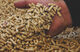 Se venden pellets marca burpellet - Foto 1