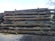 Venta de madera de derribo de roble - Foto 4