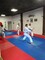 Clases Online de Karate - Foto 1