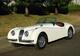 Jaguar xk120 roadster