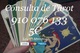 Videncia visa barata/806 tarot/910 076 133