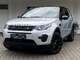 Land rover discovery sport panorama bi-color euro6