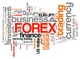 24 libros forex trading bolsa de valores