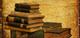 El recolector de libros