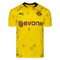 Camiseta Borussia Dortmund 2020 - Foto 1