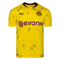 Camiseta borussia dortmund 2020