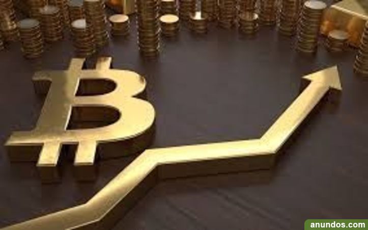 Curso de trading de bitcoin