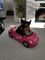 Regalo cachorros toy de yorkshire terrier2 - Foto 1